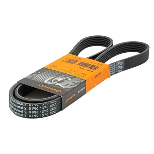 Ribbed belt for - belt,